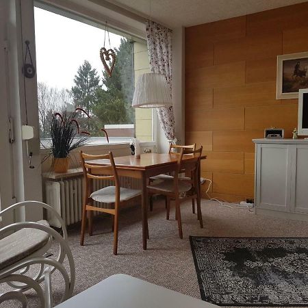 Weitblick Apartment Sankt Andreasberg Bagian luar foto