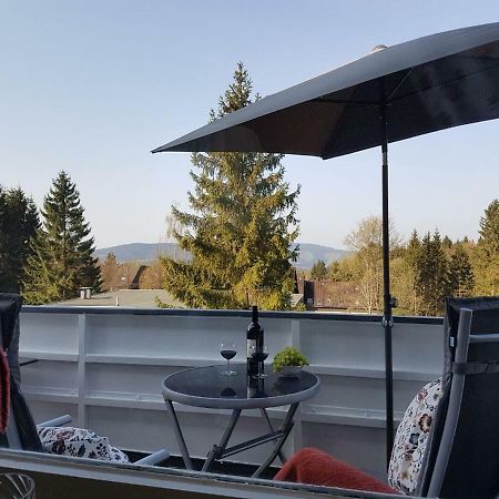 Weitblick Apartment Sankt Andreasberg Bagian luar foto